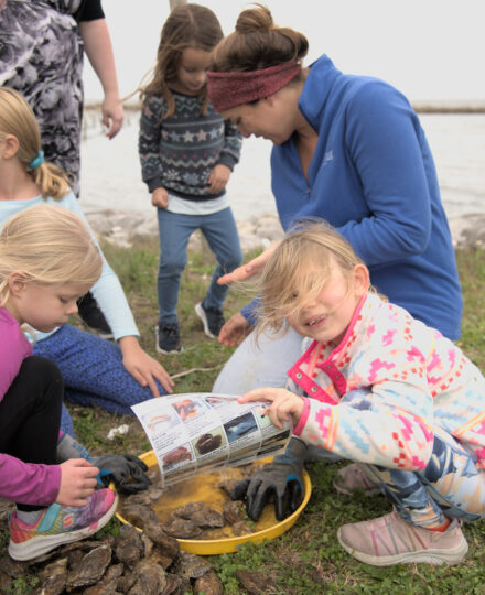 Education on the Halfshell: Using Oysters to Teach Biological Concepts