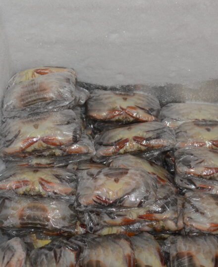 Production and Sale of Soft-shell Blue Crabs