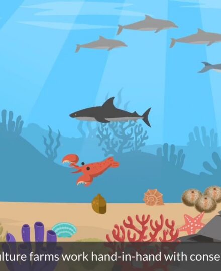 What is Aquaculture?