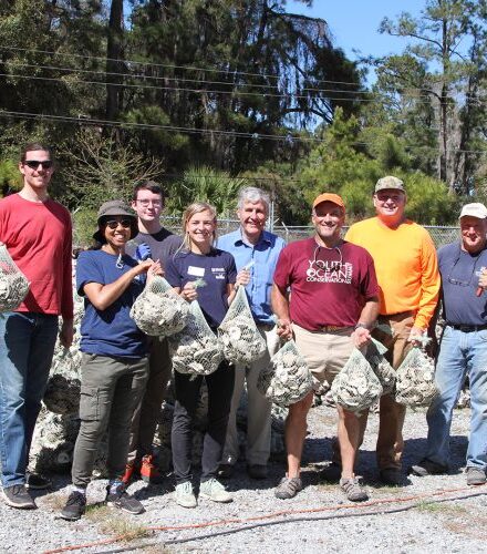 Marine Extension and Georgia Sea Grant Volunteer Opportunities