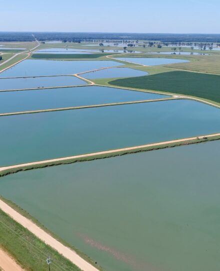 Down to Earth: Aquaculture