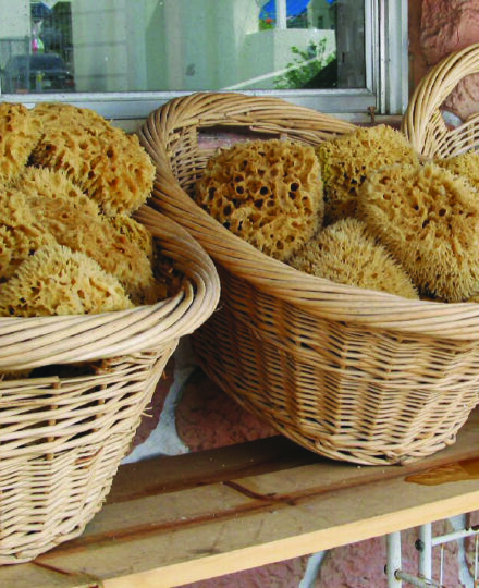 Farming Clams, Oysters & Sponges – S11 E5