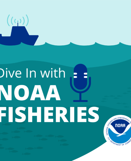 Dive in with NOAA Fisheries Podcast Dive in with NOAA Fisheries Podcast