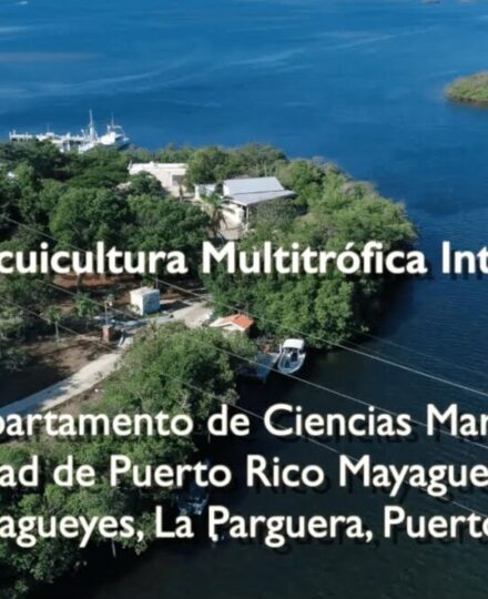Proyecto de Acuicultura Multitrófica Integrada (IMTA)