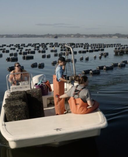 Treasure Coast Shellfish – Episode 10 -Eating Out: The Hunt For Sustainable Seafood