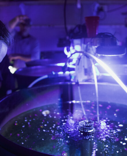 Tide to Table Profile: Carteret Community College Aquaculture Technology Tide to Table Profile: Carteret Community College Aquaculture Technology