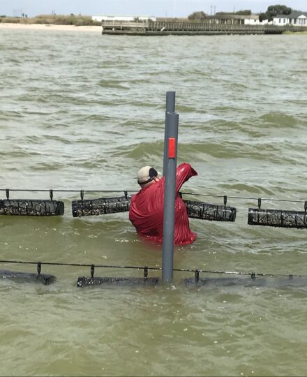 Oyster Mariculture: Getting Started