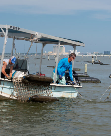 Career Corner: Careers in Aquaculture Science