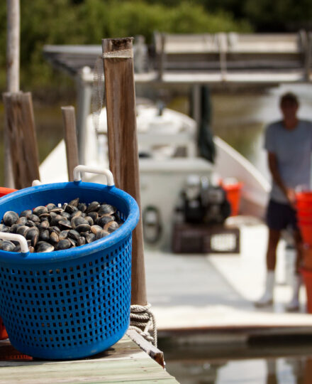 Sustainable Seafood Choices with Sarah Curry