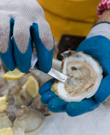 SafeOysters.com