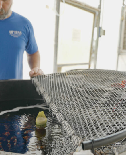 Ask IFAS: Aquaculture