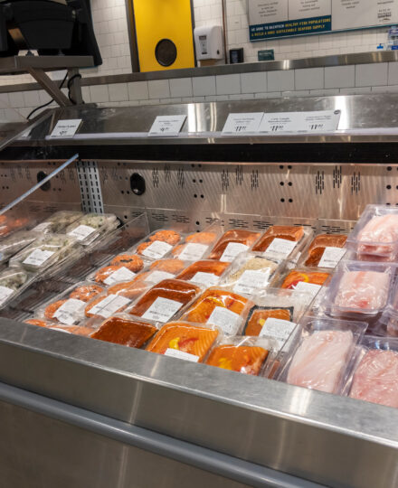 Do You Know the Fish You’re Eating? Lesson Plan