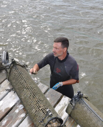 Oyster Farming Grows Market (Part 2)