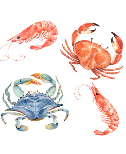 Seafood Guide