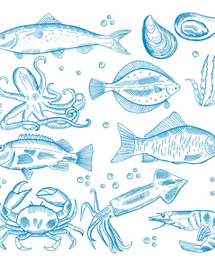 Seafood Basics