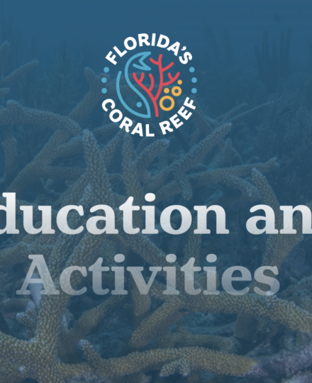 Coral Reef Education Trunks