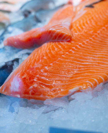 The Presence of PCBs in Certain Species of Cultivated Fish