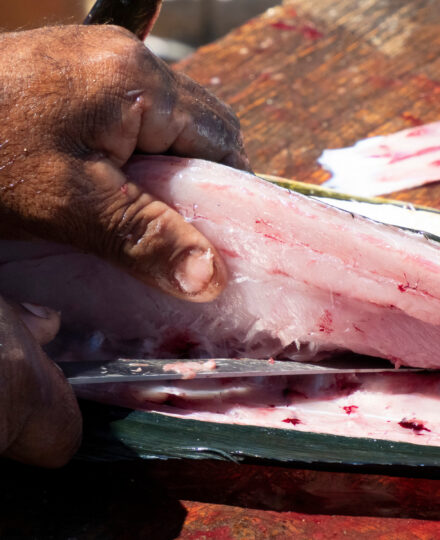 When Fish Does Not Receive Adequate Refrigeration: Histamine Poisoning