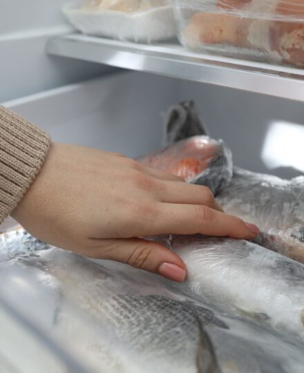 Storage of Fish and Seafood