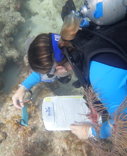 Careers in Marine Biology