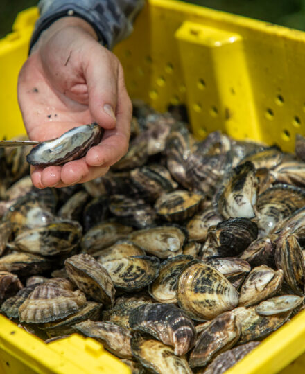 Southeast Region Aquaculture 2020 Fact Sheet