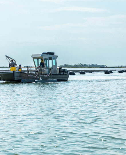 Marine Aquaculture in the U.S.