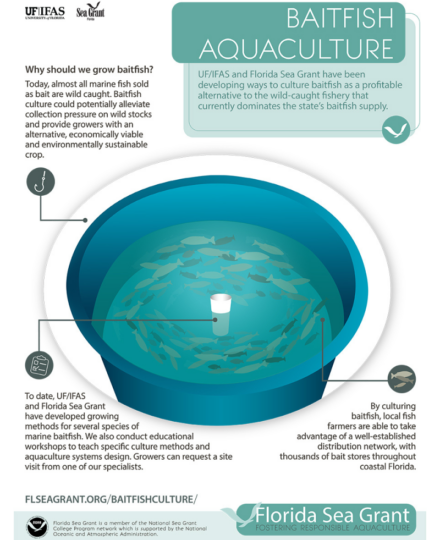 Baitfish Aquaculture Infographic