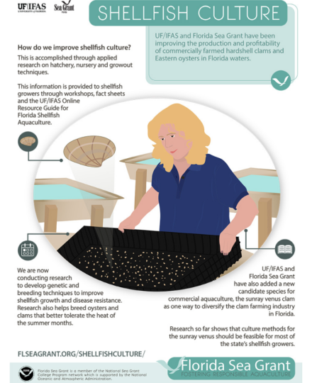 Shellfish Culture Infographic