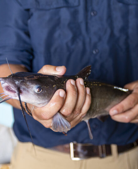 Aquaculture Adventures