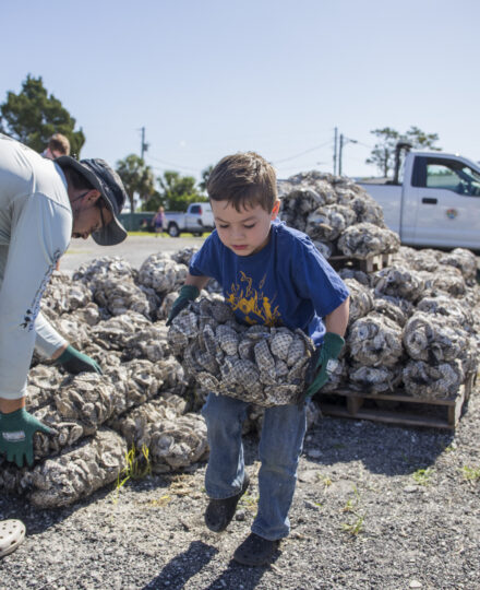 Building an Oyster Reef: A 3-D Activity