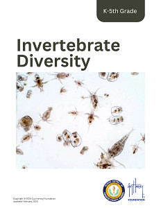 Invertebrate Diversity Lesson