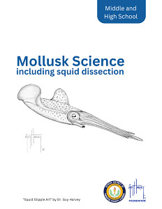 Mollusk Science Lesson (including squid dissection)