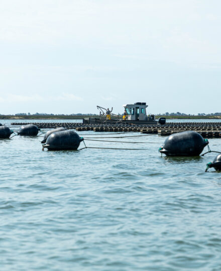 Overfishing and Aquaculture (Grades 6-8) Overfishing and Aquaculture (Grades 6-8)