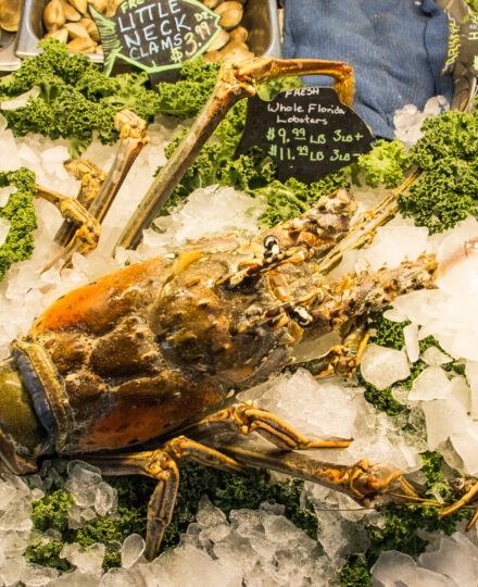 Florida Seafood Market Locator