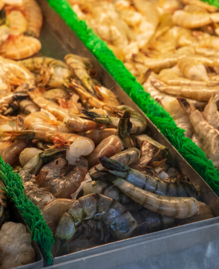 Georgia Seafood Directory