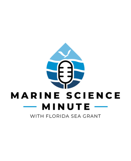 Marine Science Minute
