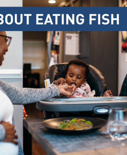 Advice about Eating Fish Toolkit