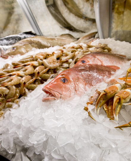 Seafood Virtual Office Hour Recordings