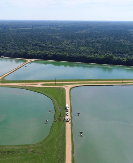 Terry Hanson: “Catfish Farming in the US”