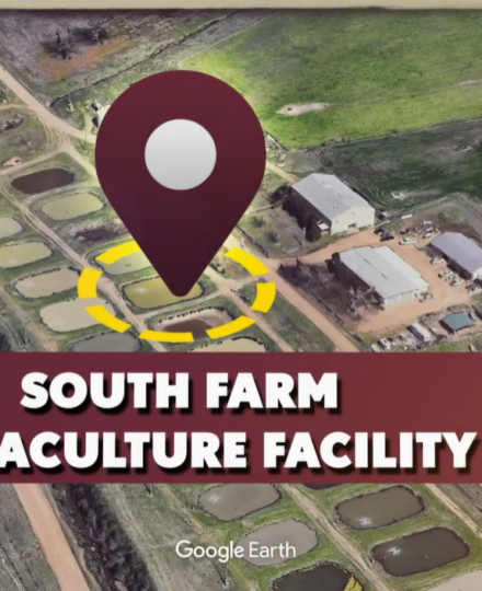 State To You – Aquaculture Virtual Field Trip State To You – Aquaculture Virtual Field Trip