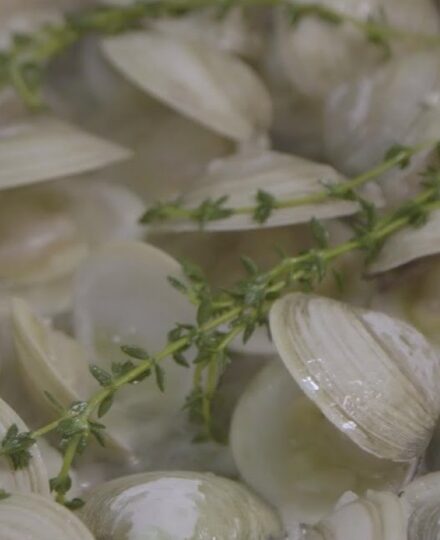 Two Docks Shellfish – Episode 4 – Eating Out: The Hunt For Sustainable Seafood