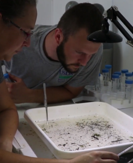 NWRC Mississippi Field Station – Aquaculture Research