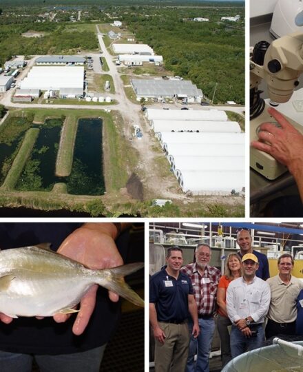 FAU Harbor Branch Aquaculture Virtual Field Trip