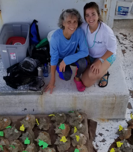 Research leads #FAUGrad to earn the name ‘Conch Girl’