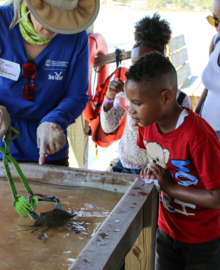 Blue Crab Biology