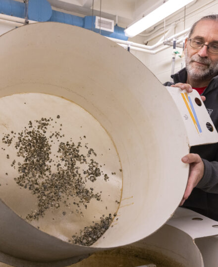 Georgia’s Growing Oyster Industry
