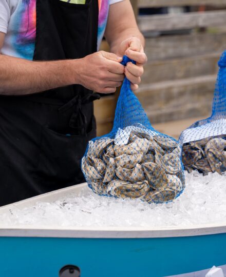 Ensuring Safe Oysters: Handling, Preparing, and Cooking