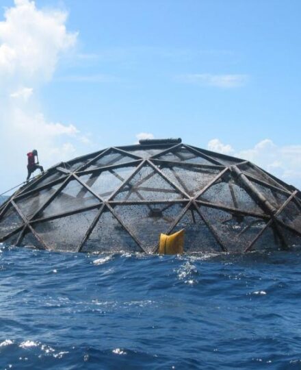 Potential Risks of Aquaculture Escapes