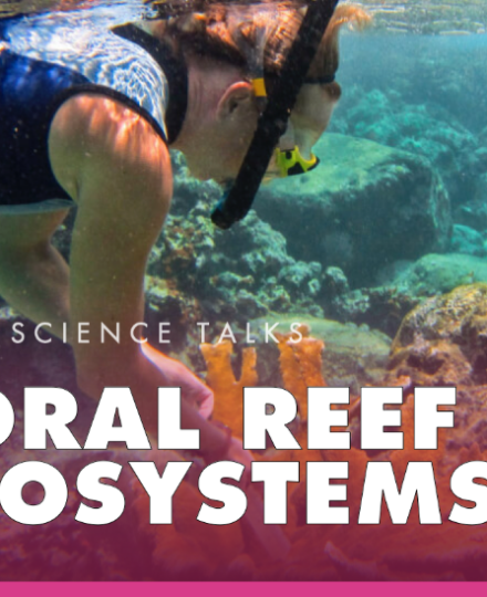 Explore Coral Reef Ecosystems with Mote Marine Laboratory Explore Coral Reef Ecosystems with Mote Marine Laboratory