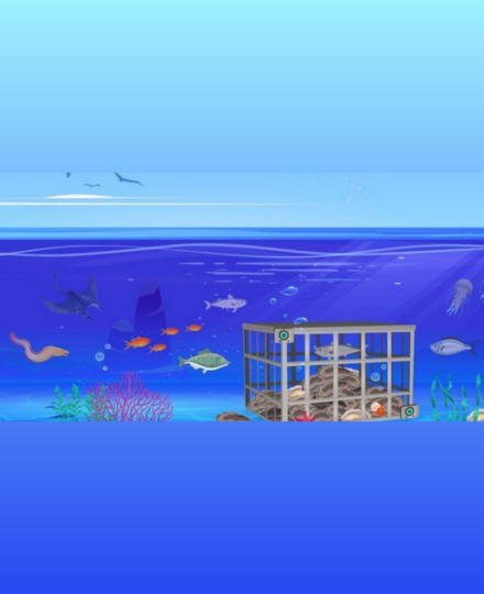How can oyster farms create homes for fish? How can oyster farms create homes for fish?